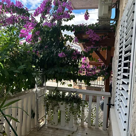 Mirella Trogir